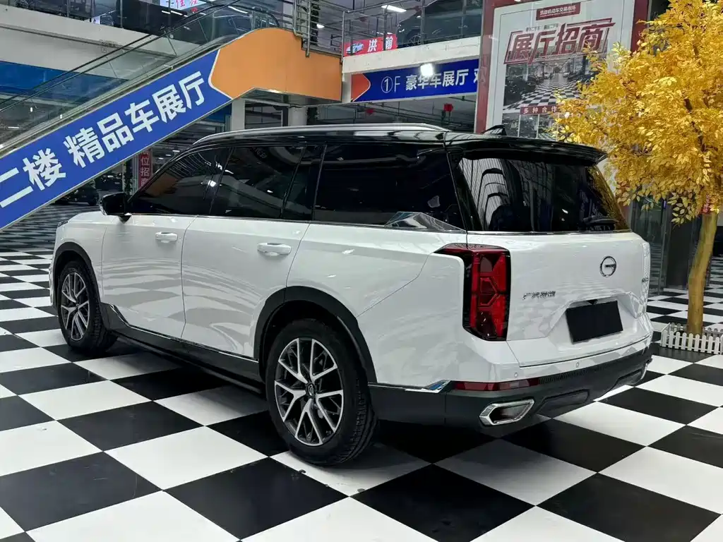 GAC Motor Trumpchi GS8 2024 — фото 9