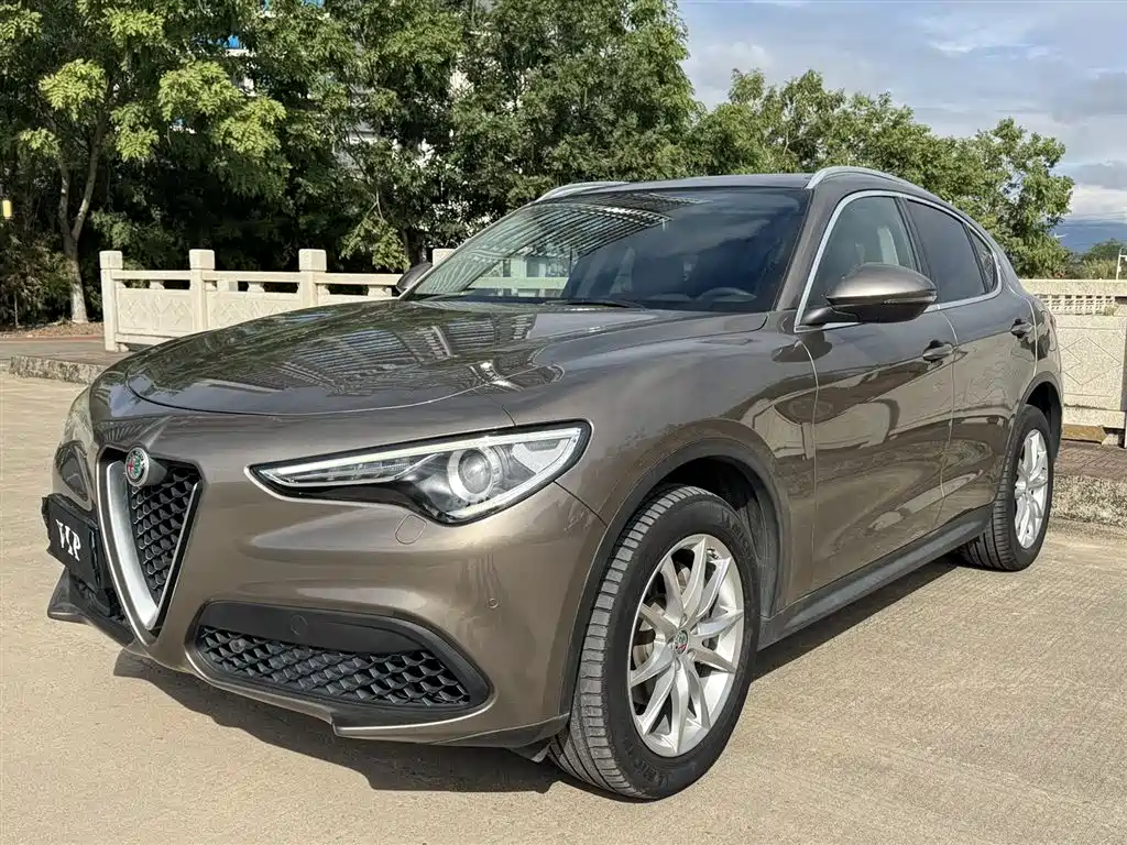 Alfa Romeo Stelvio 2019 — фото 2