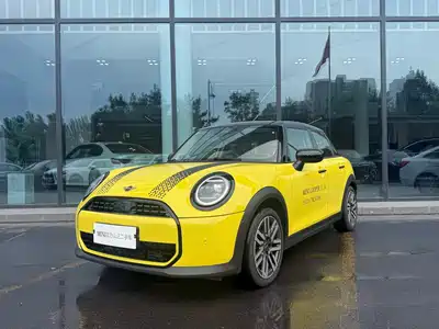 MINI MINI 2024