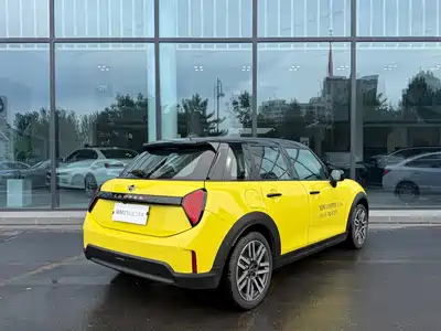 MINI MINI 2024
