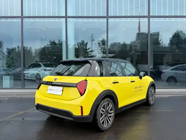 MINI MINI 2024
