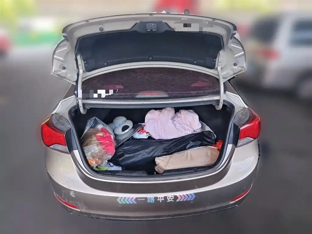 Hyundai Elantra Langdong 2016 — фото 10