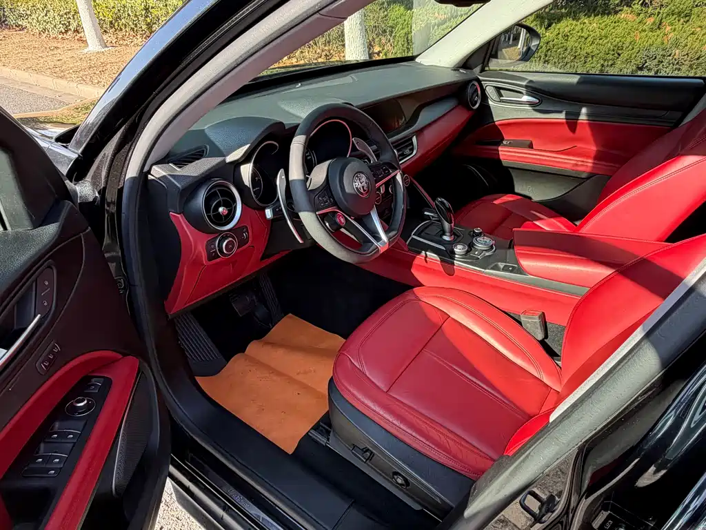 Alfa Romeo Stelvio 2019 — фото 18