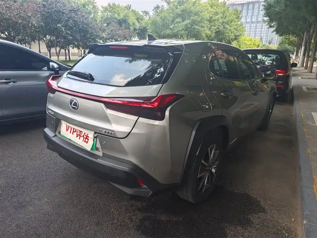 Lexus UX New Energy 2020 — фото 6