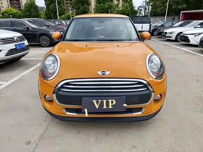 MINI MINI 2014