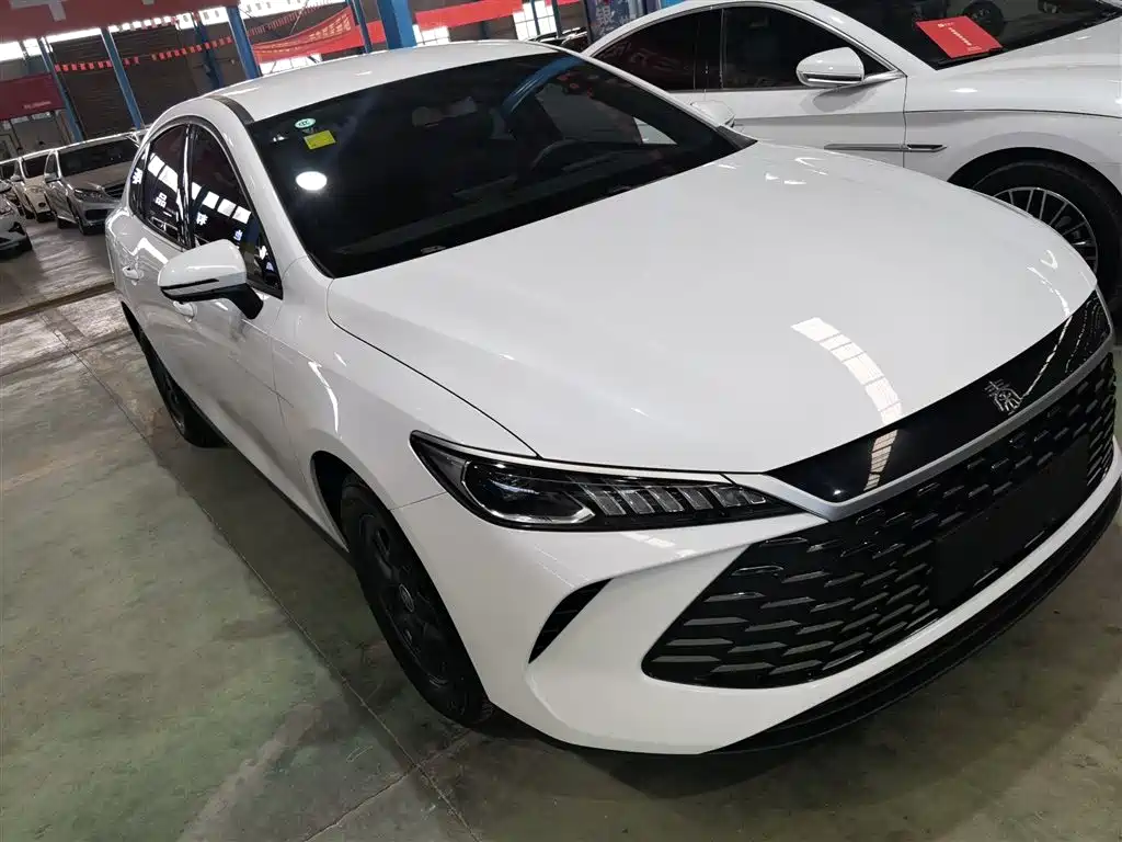 BYD Qin PLUS 2025 — фото 22