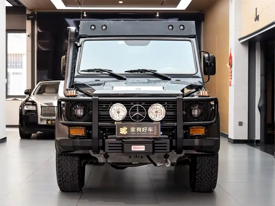 Mercedes-Benz G-Class 2014 — фото 2