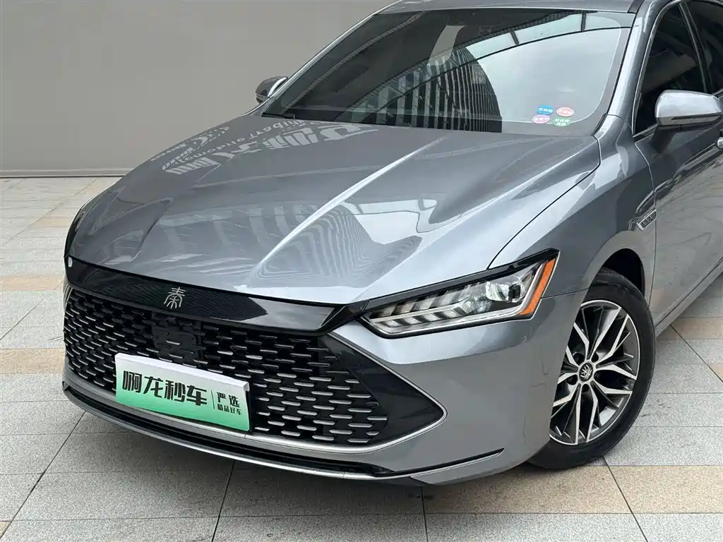 BYD Qin PLUS 2023 — фото 2