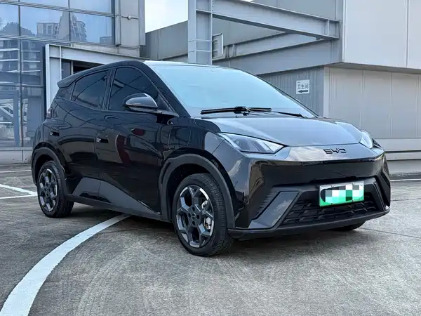 BYD Seagull 2024