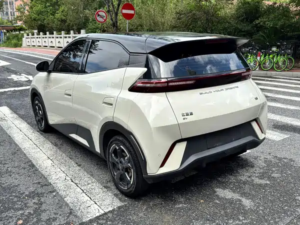 BYD Seagull 2024
