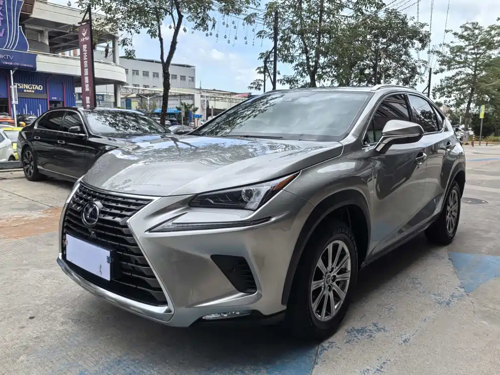 Lexus NX 2021 — фото 1
