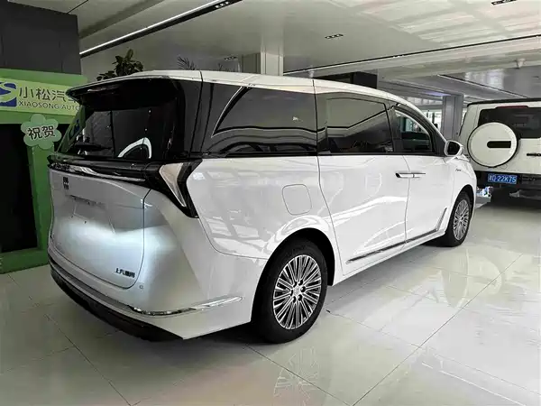 Buick GL8 New Energy 2025