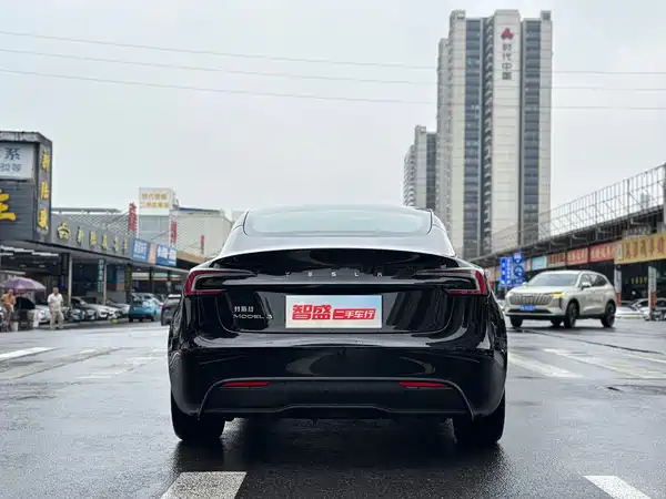 Tesla Model 3 2025