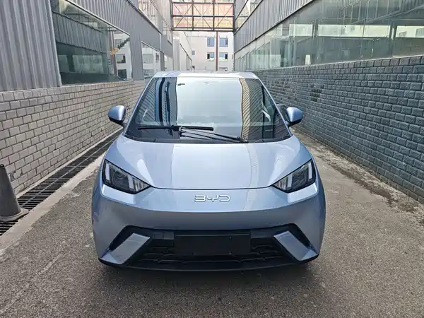 BYD Seagull 2024