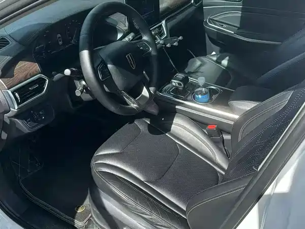 Hongqi E-HS3 2019