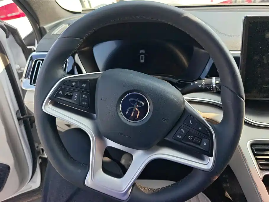 BYD PLUS New Energy 2021 — фото 15