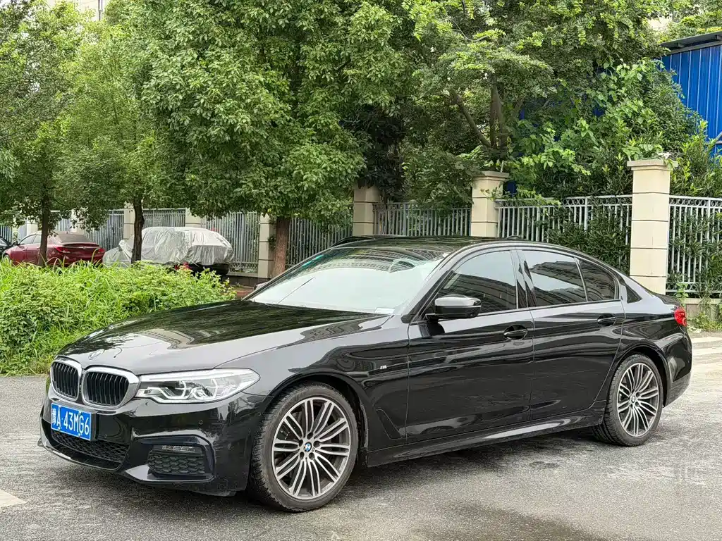 BMW 5 Series 2019