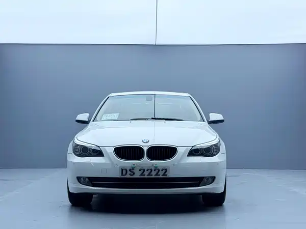 BMW 5 Series 2010