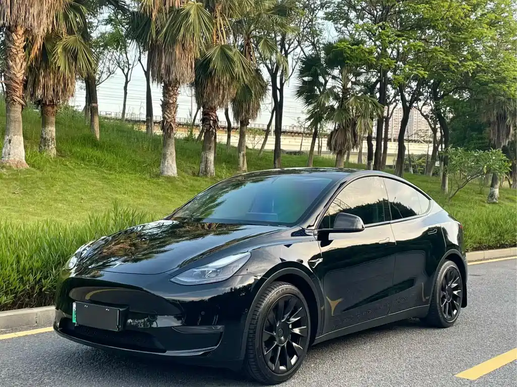 Tesla Model Y 2021 — фото 1