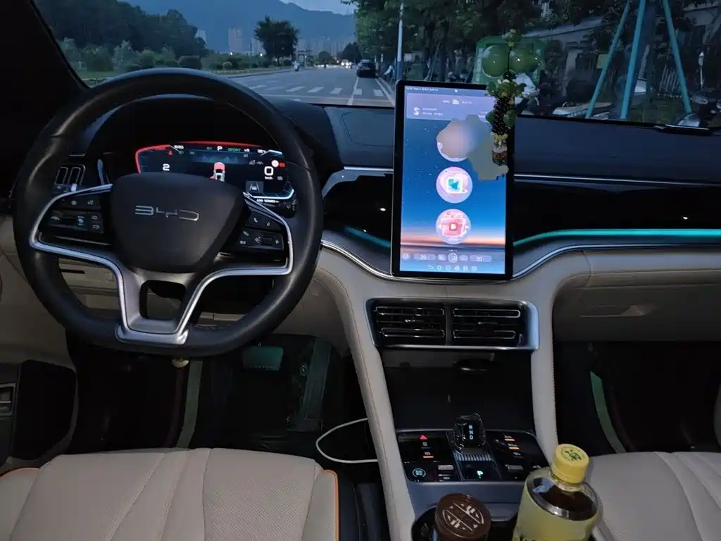 BYD Song PLUS New Energy 2024 — фото 13