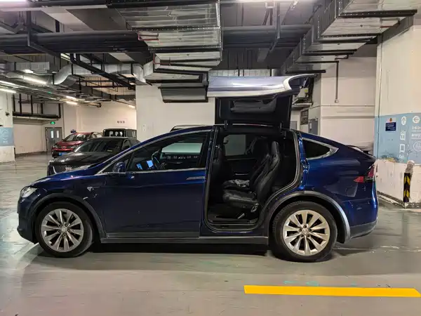 Tesla Model X 2017