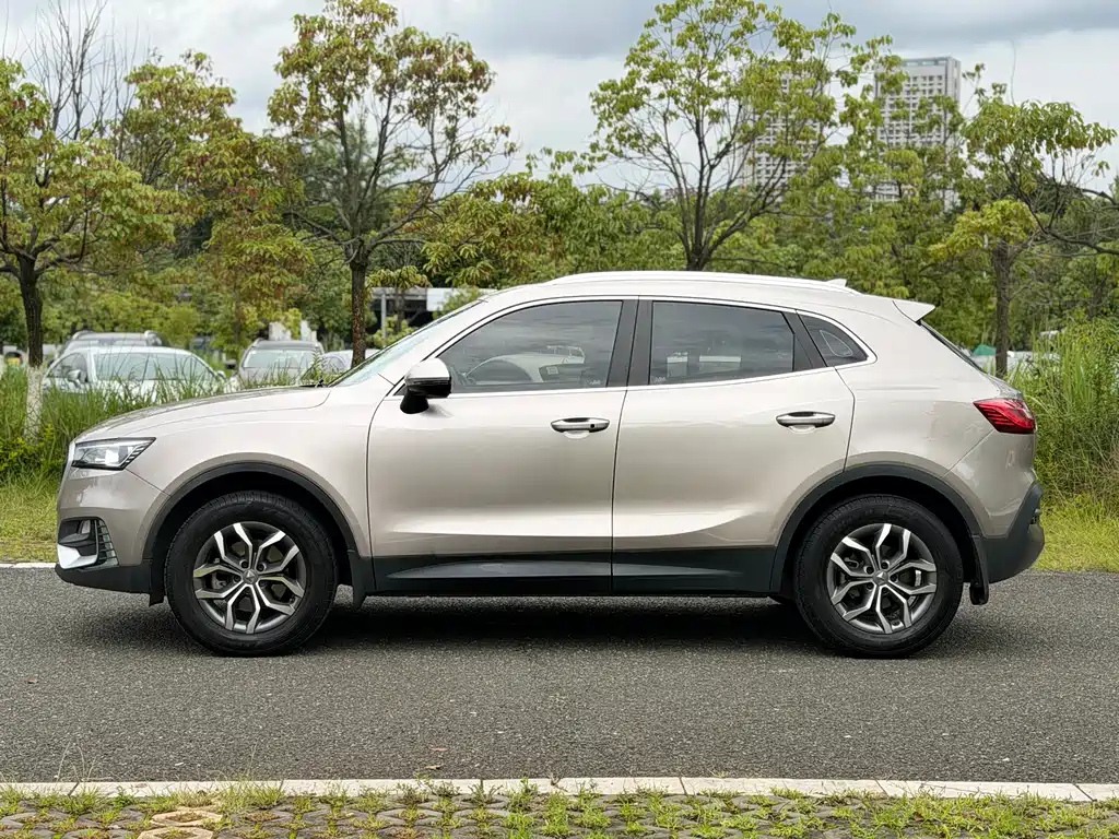 Borgward BX5 2020