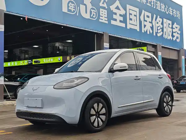 Wuling Bingo 2024
