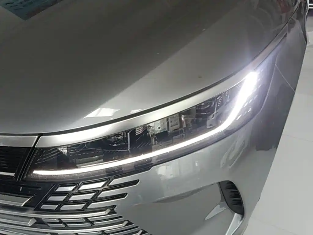 BYD Destroyer 05 2024 — фото 18