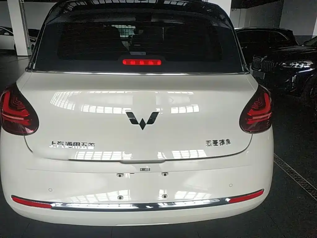 Wuling Bingo 2024