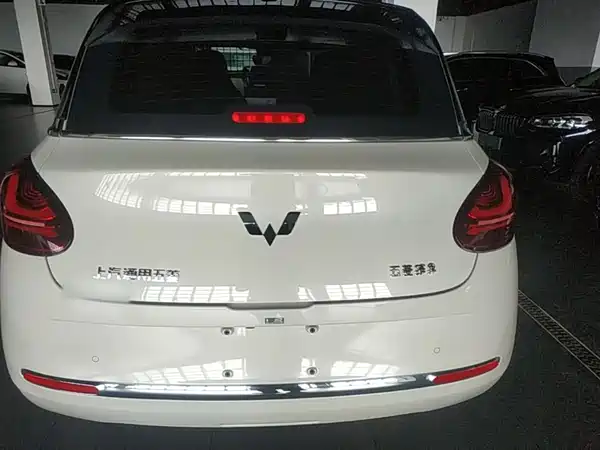 Wuling Bingo 2024