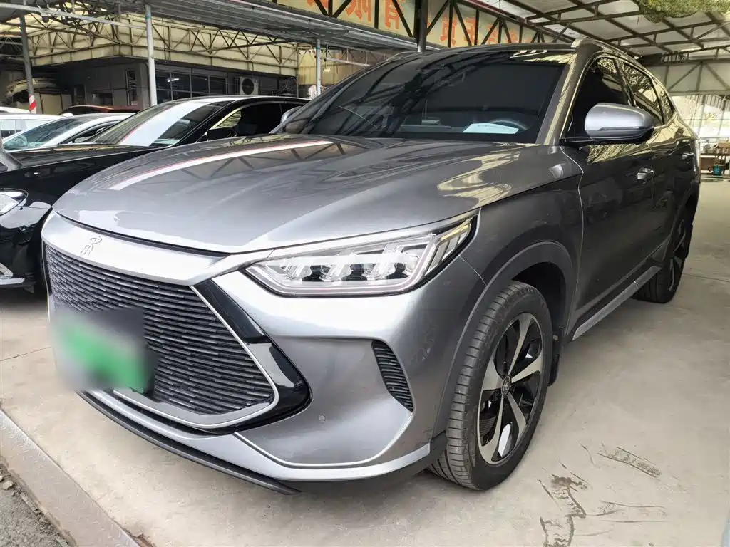 BYD PLUS New Energy 2022