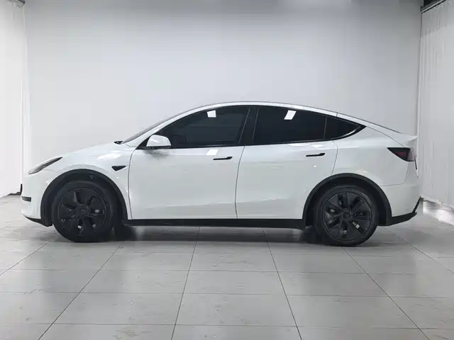 Tesla Model Y 2024 — фото 4
