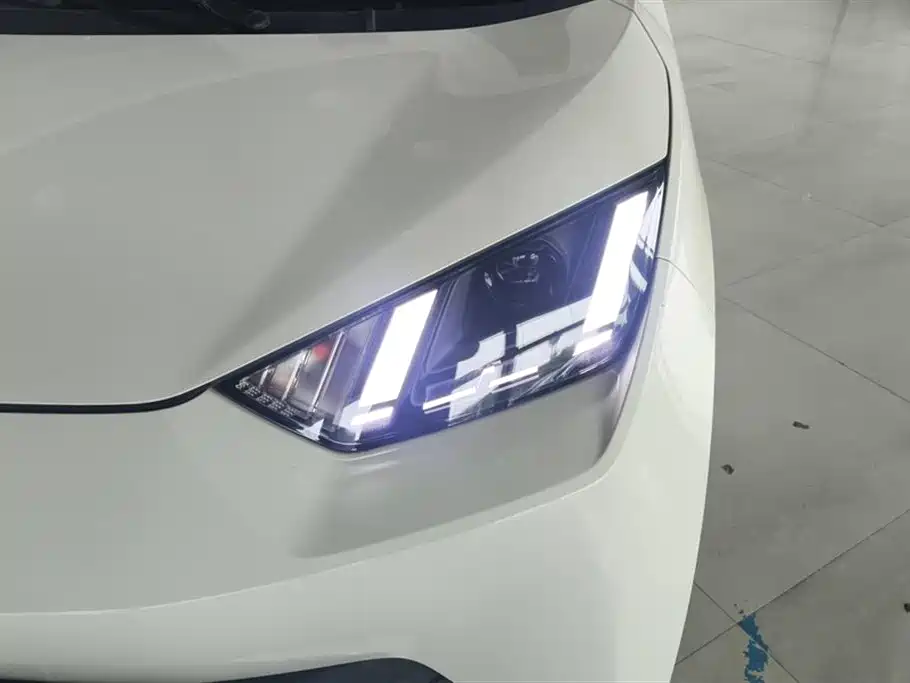 BYD Seagull 2024