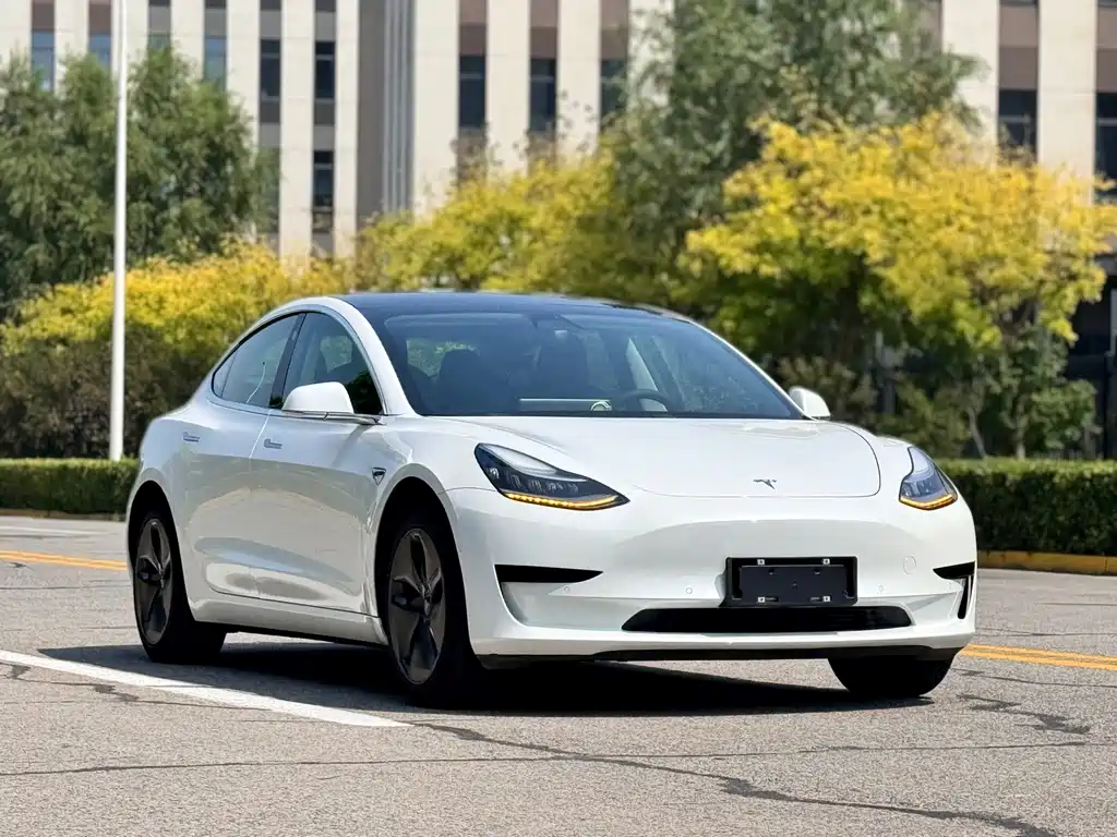 Tesla Model 3 2019
