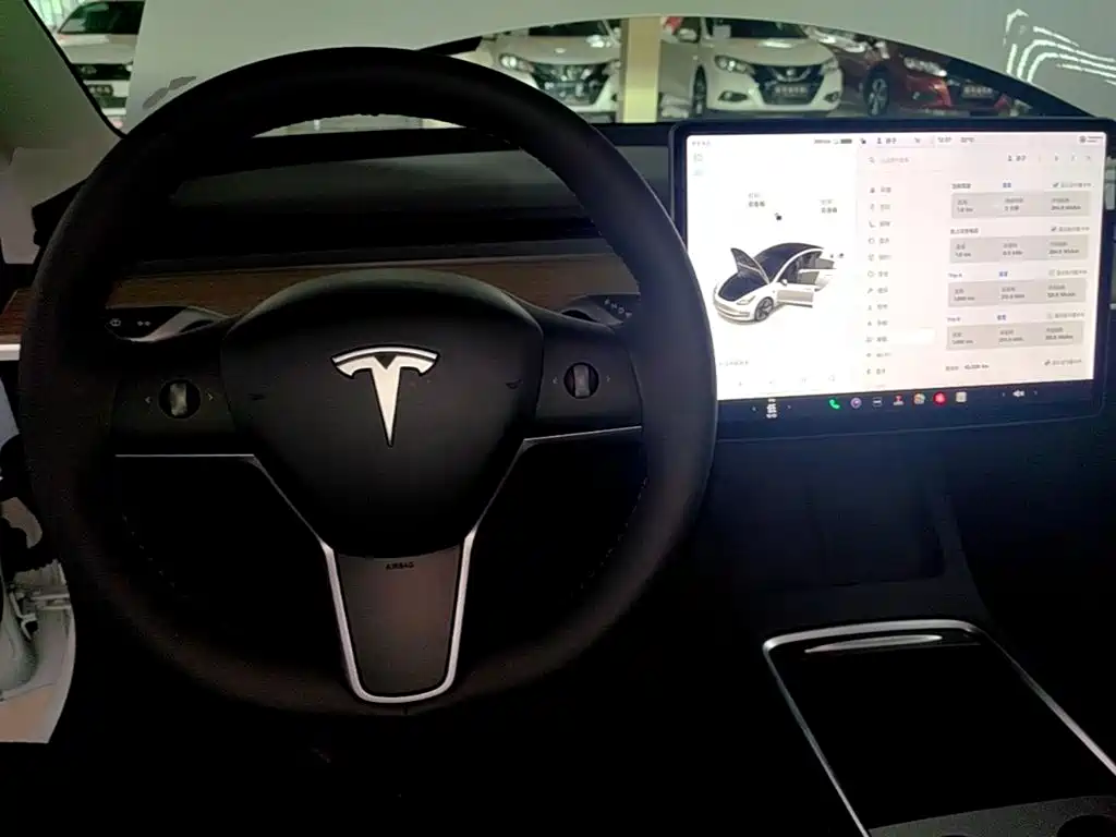 Tesla Model 3 2021 — фото 10