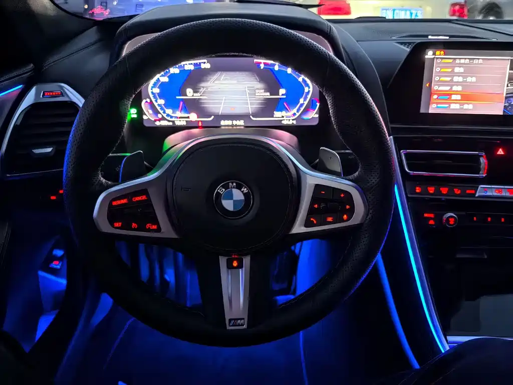 BMW 8 Series 2021 — фото 15