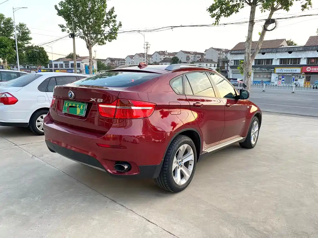 BMW X6 2010