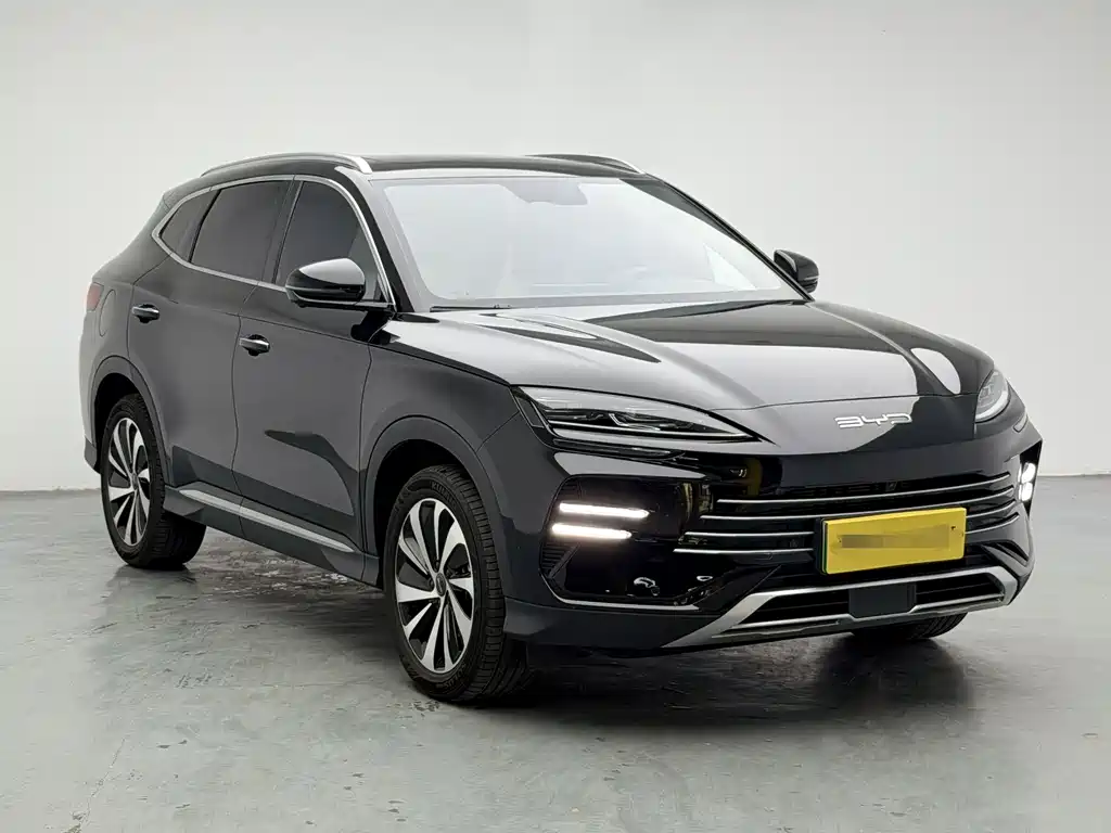 BYD PLUS New Energy 2024 — фото 3