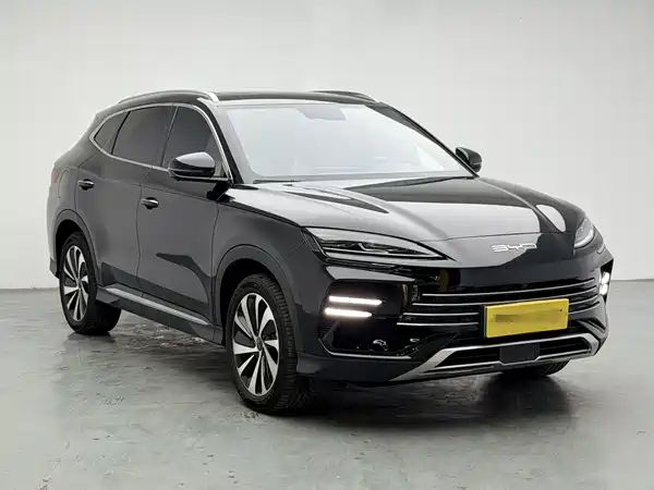 BYD Song PLUS New Energy 2024