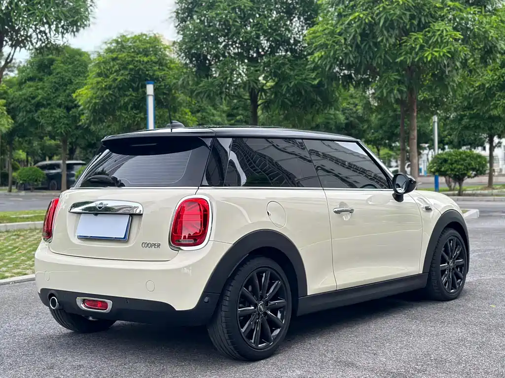 MINI MINI 2019