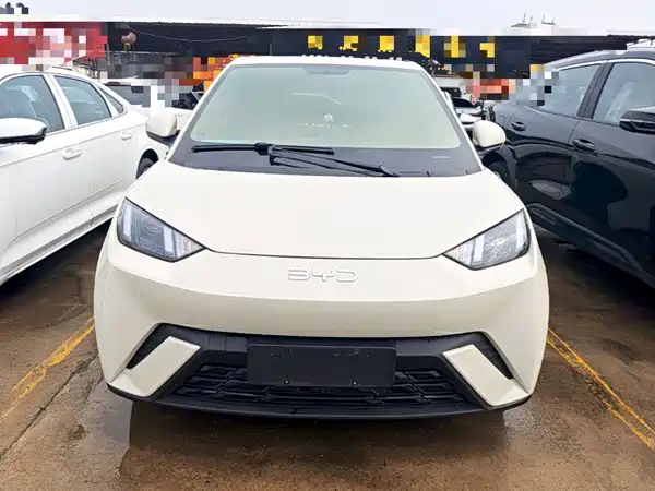 BYD Seagull 2025