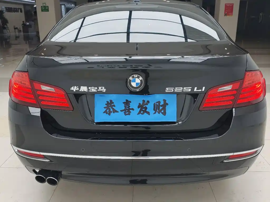 BMW 5 Series 2016 — фото 16