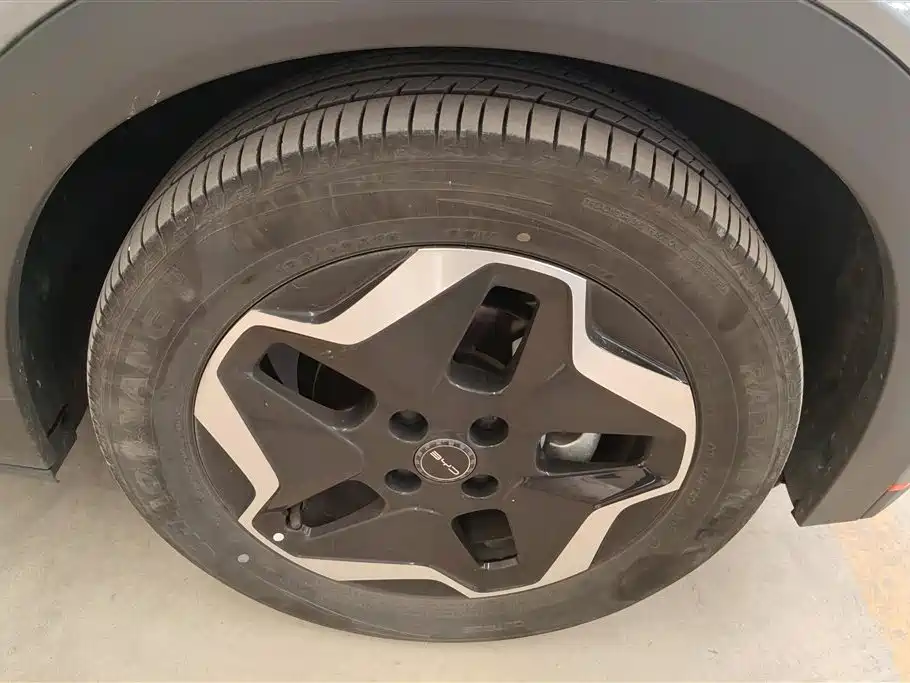 BYD Dolphin 2022