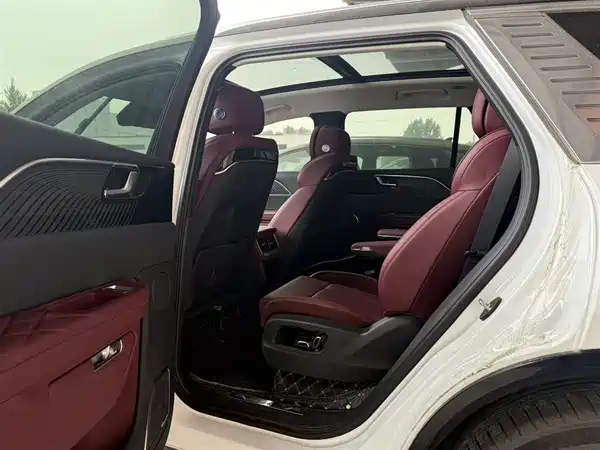 Hongqi E-HS9 2023