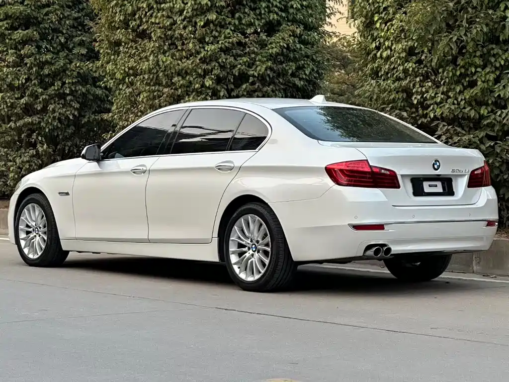 BMW 5 Series 2014 — фото 8