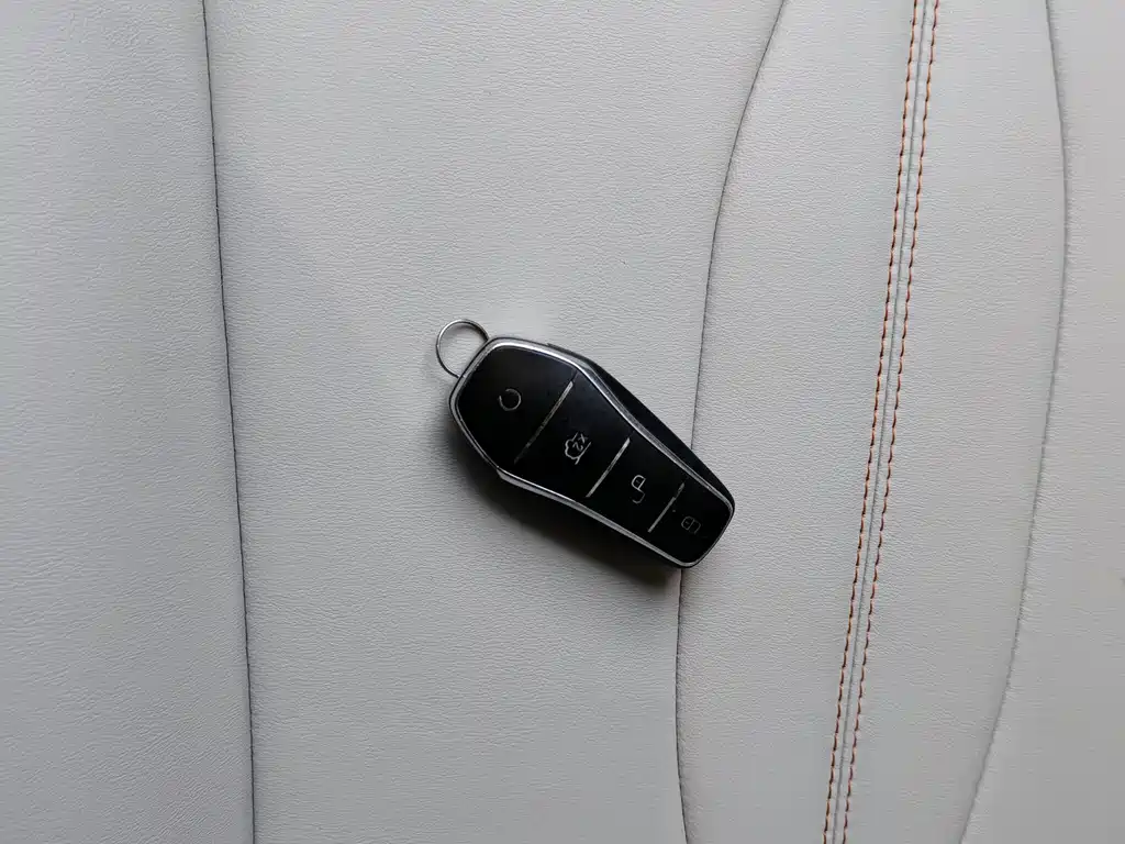 BYD PLUS New Energy 2024 — фото 15