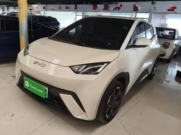 BYD Seagull 2024