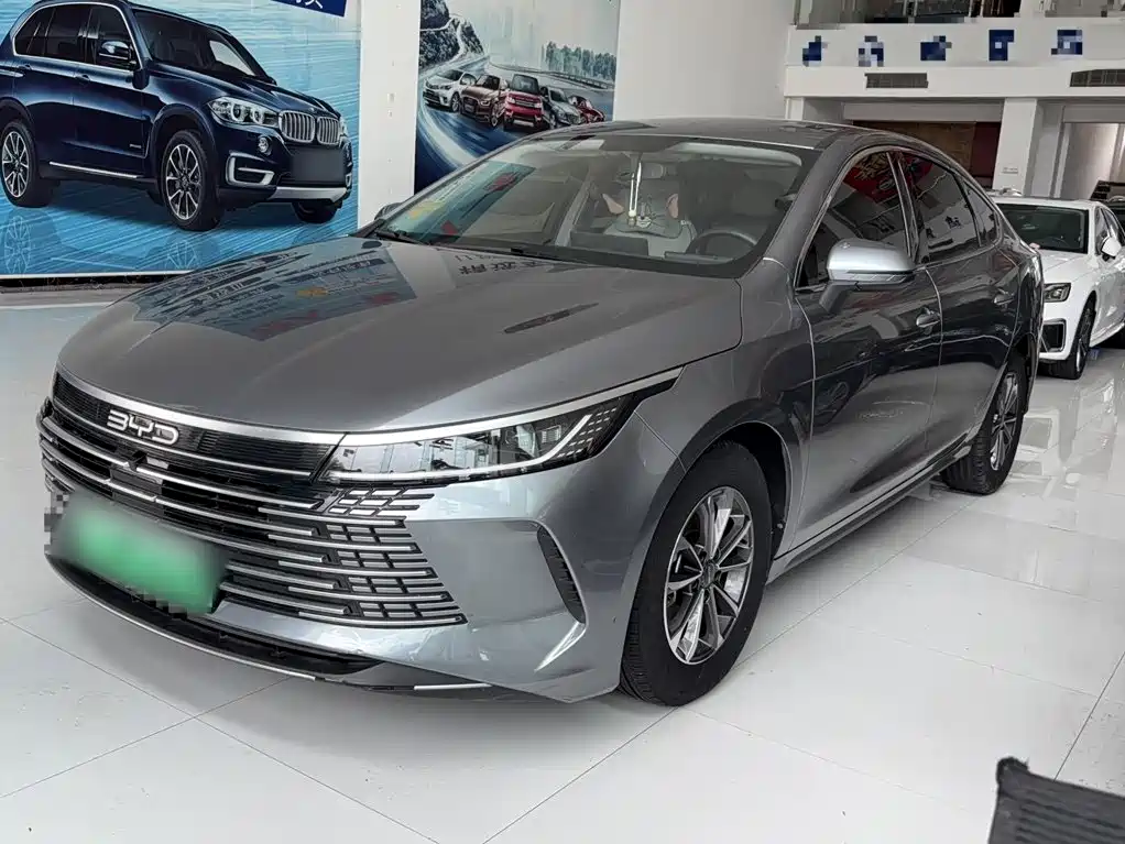 BYD Destroyer 05 2024 — фото 2
