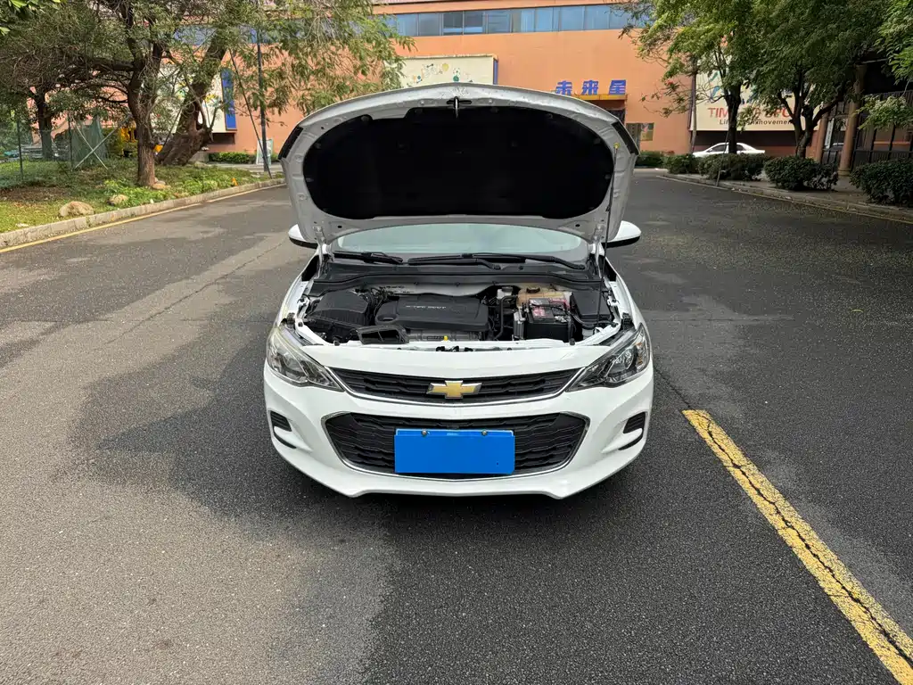 Chevrolet Cavalier 2017 — фото 15