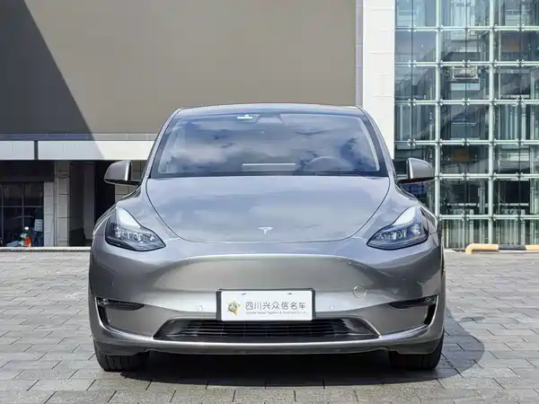 Tesla Model Y 2021
